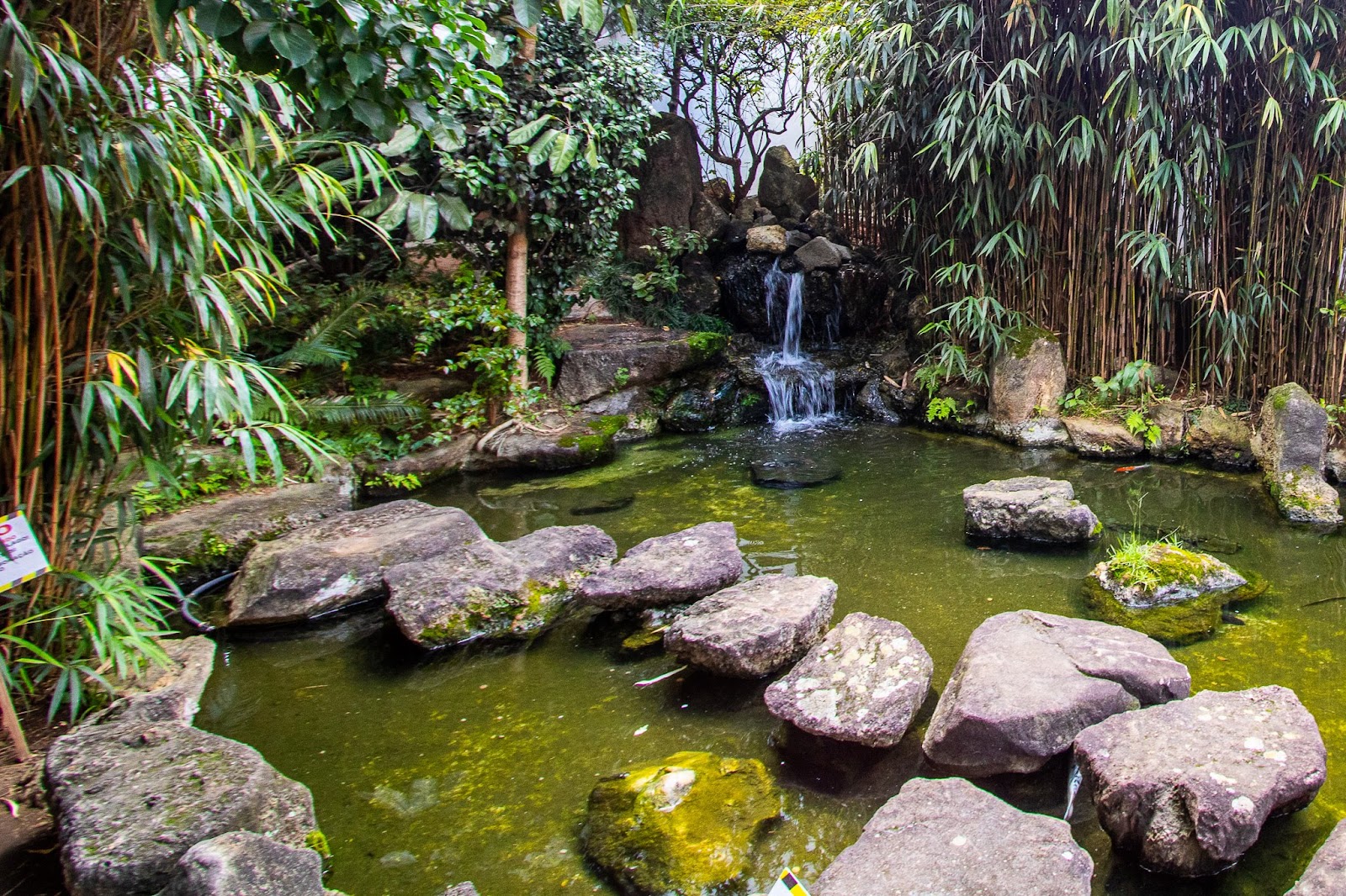 Liberdade Oriental Garden