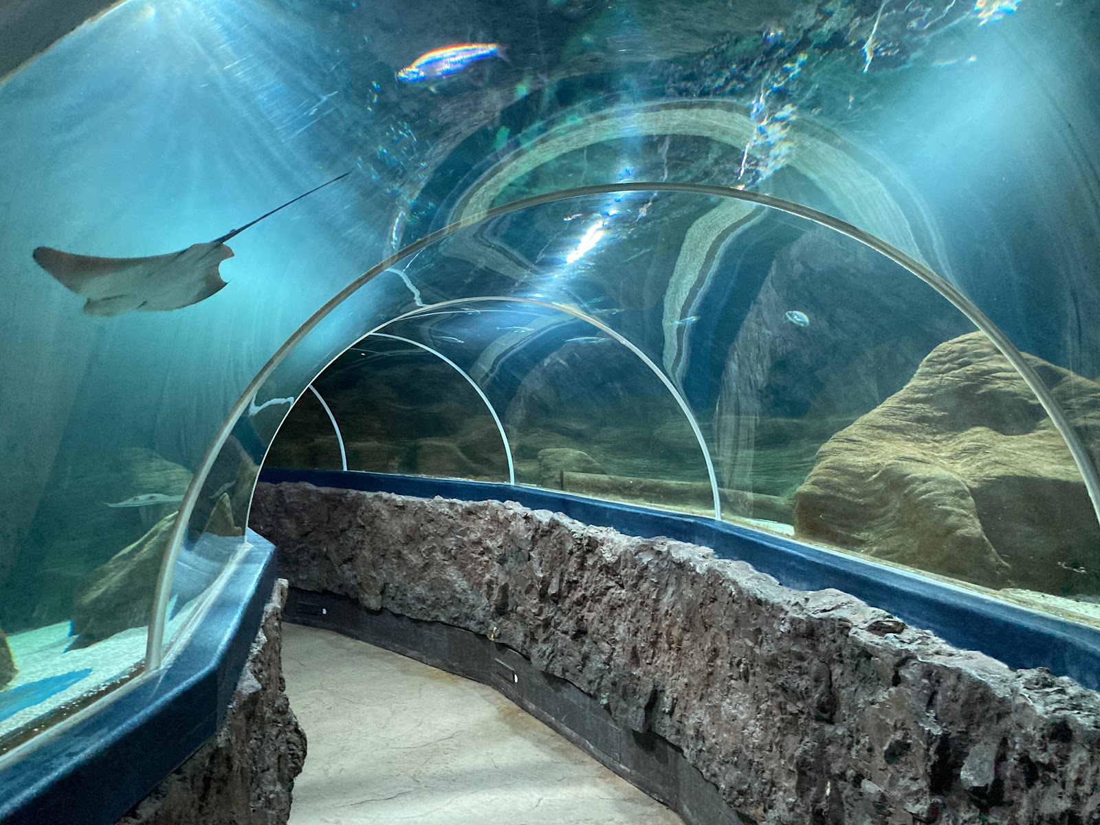 Sylt Aquarium