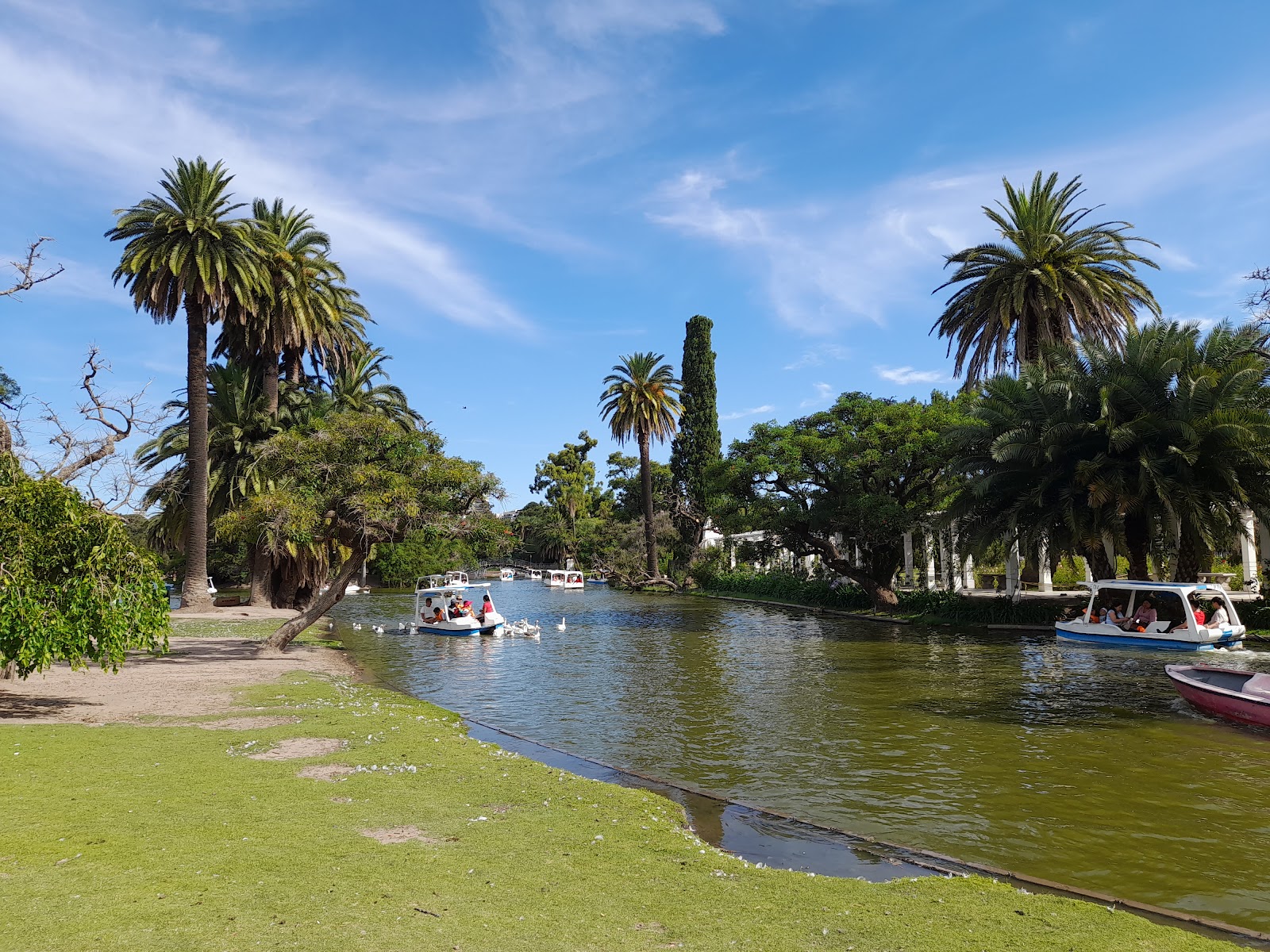 Bosques de Palermo (Parque Tres de Febrero)