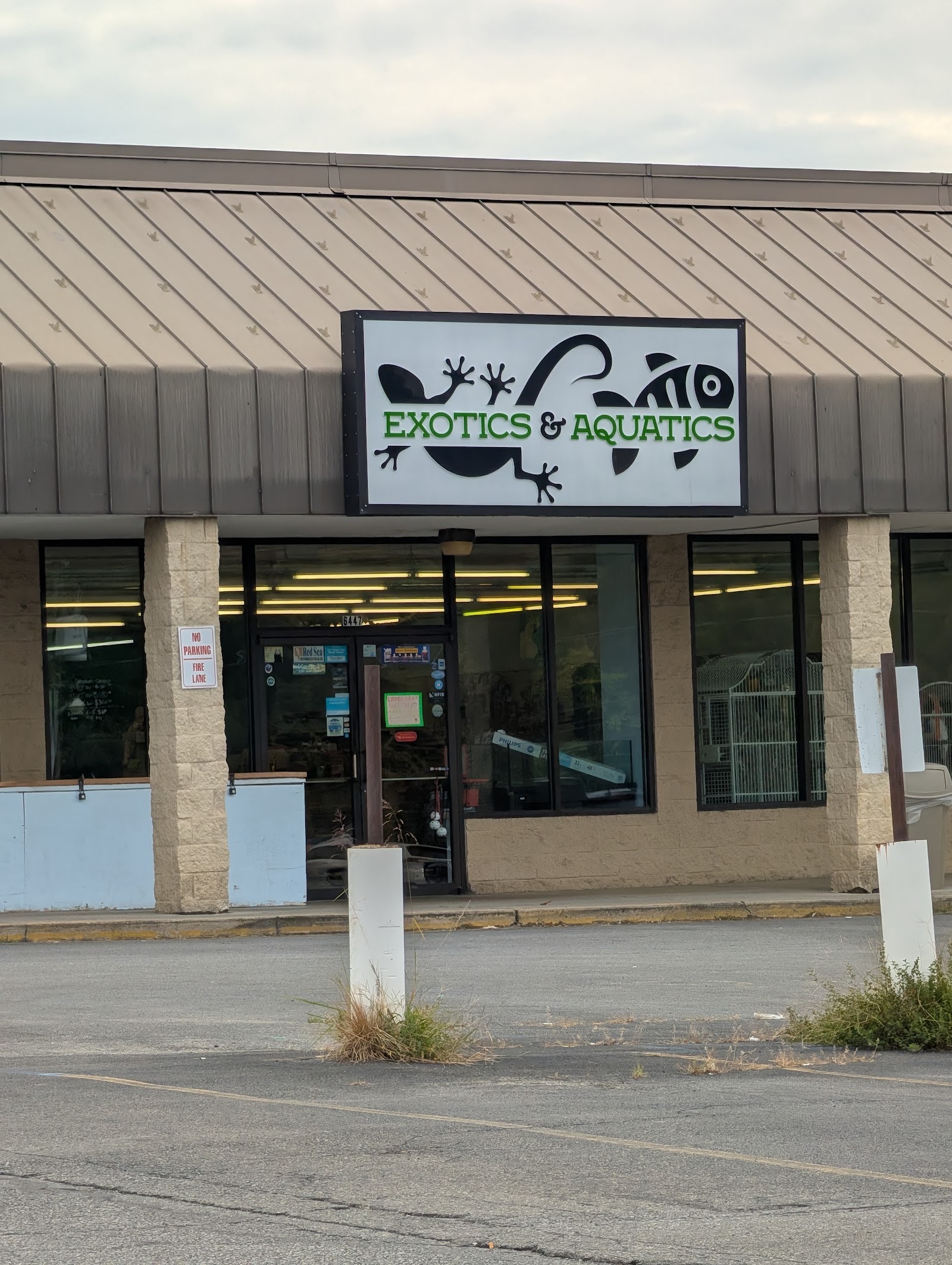 Exotics & Aquatics