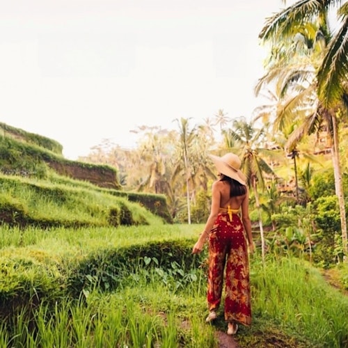 Self-Guided Tours of Bali