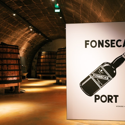 Porto wine tasting and guided tours