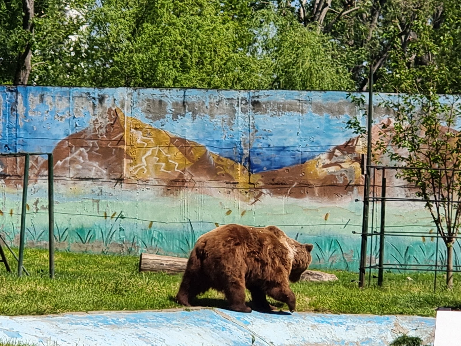 Zoo Targoviste