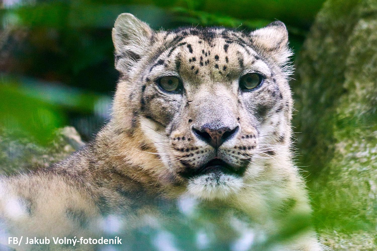 Zoológico de Liberec
