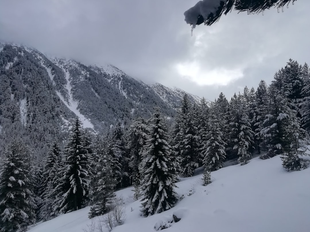 Bansko