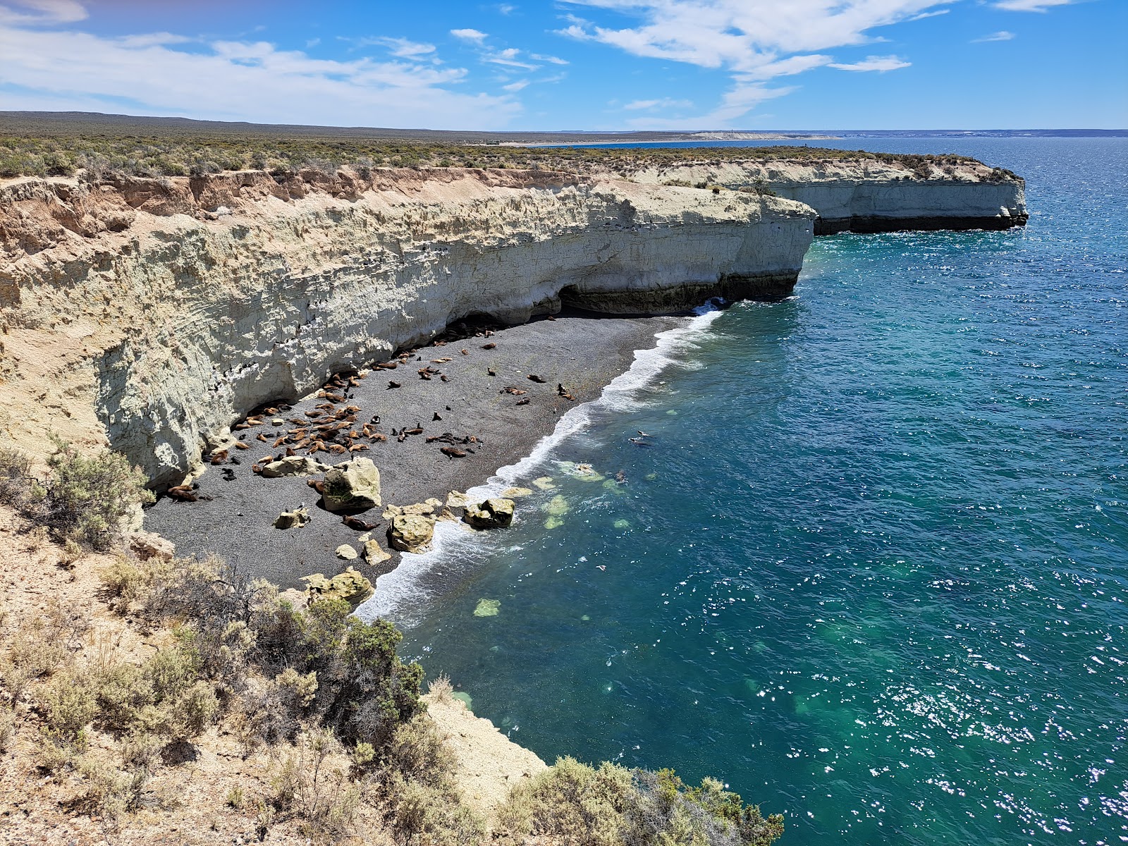 Reserva Lobería de Punta Loma