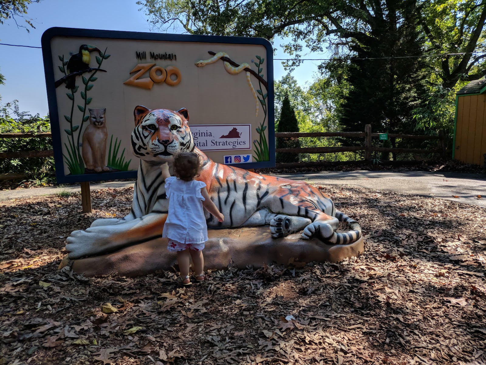Mill Mountain Zoo