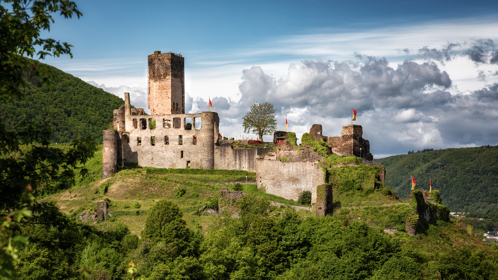 Metternich Castle