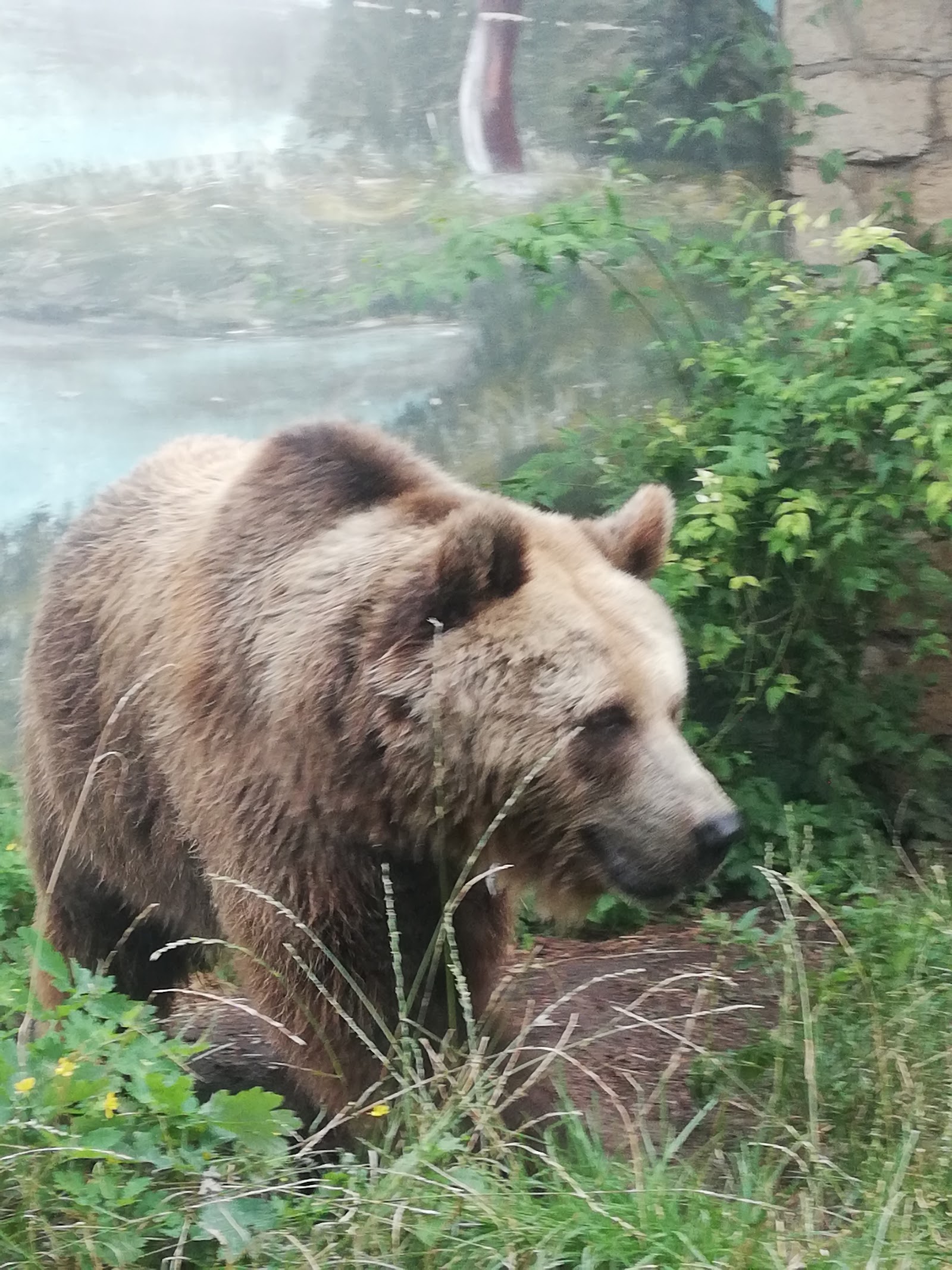 Bad Kösen Zoo