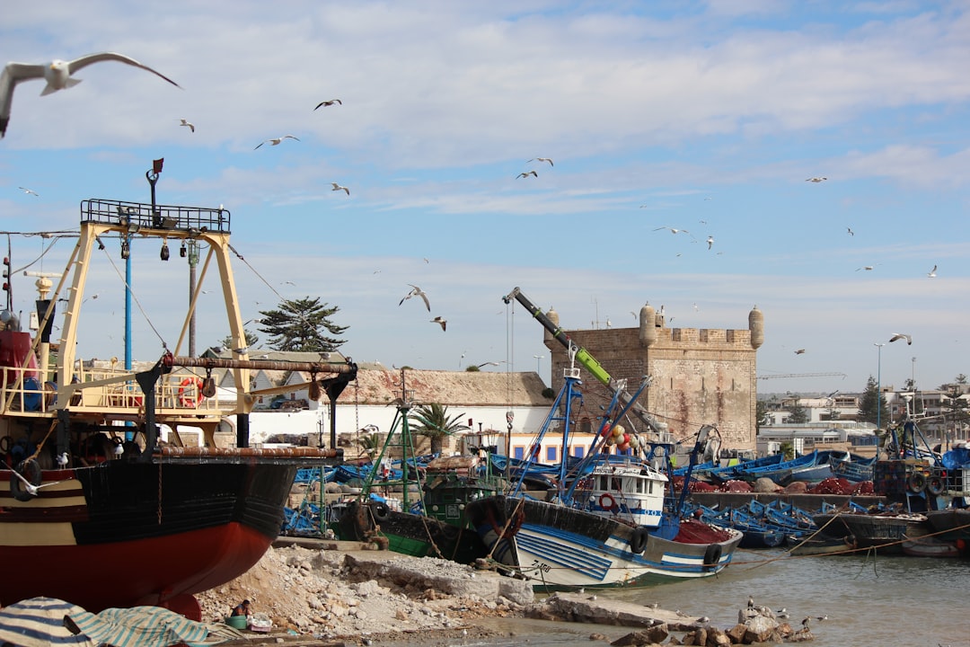Essaouira Port