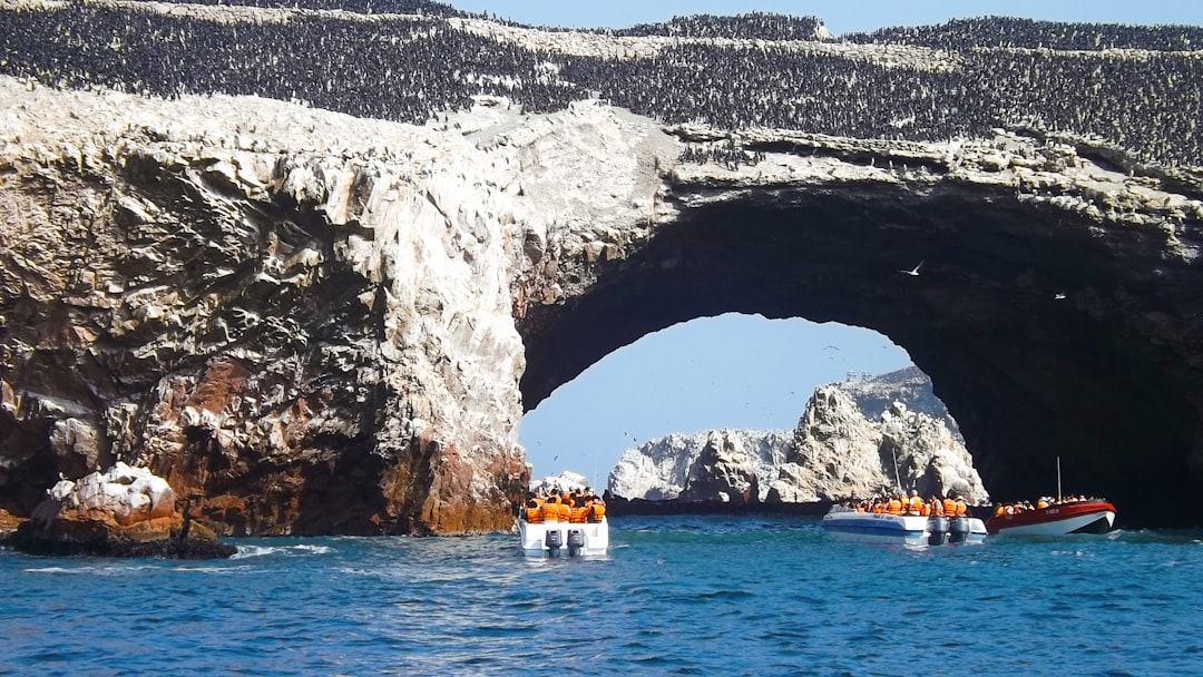 Ballestas-Inseln