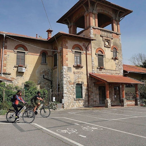 Tagesausflüge nach Pisa