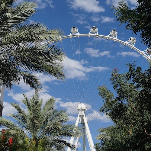 High Roller