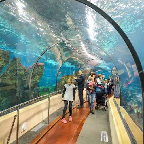 Aquarium Barcelona