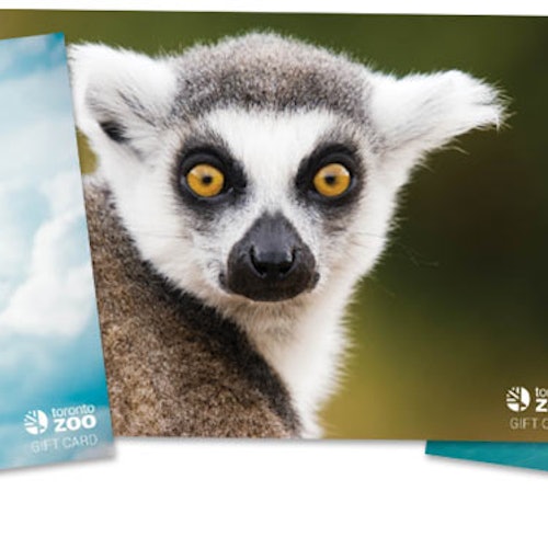 Zoológico de Toronto
