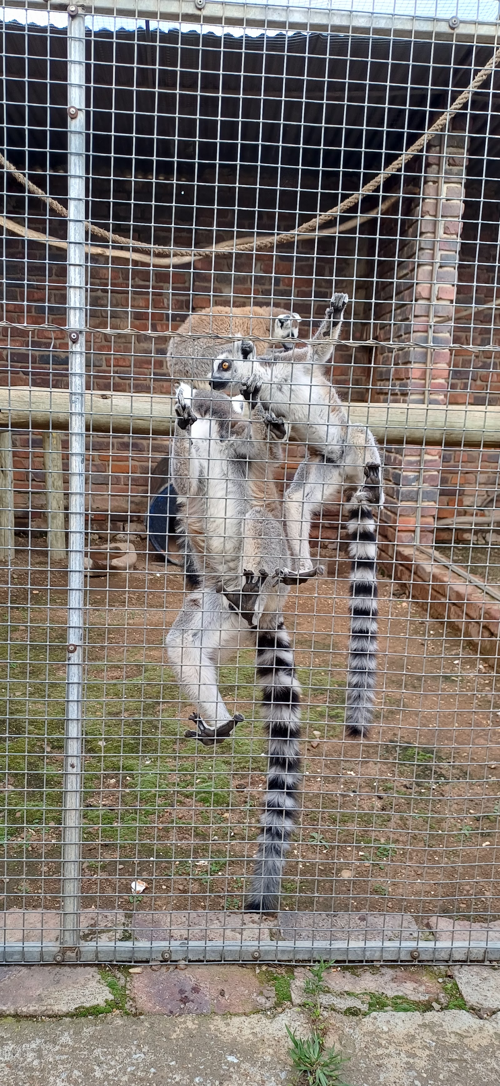 Polokwane Snake & Reptile Park