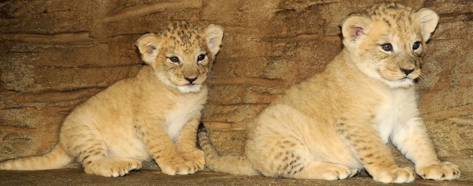 Zoo Olomouc