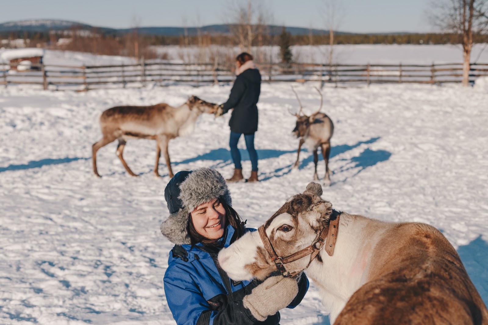 Nutti Sámi Siida
