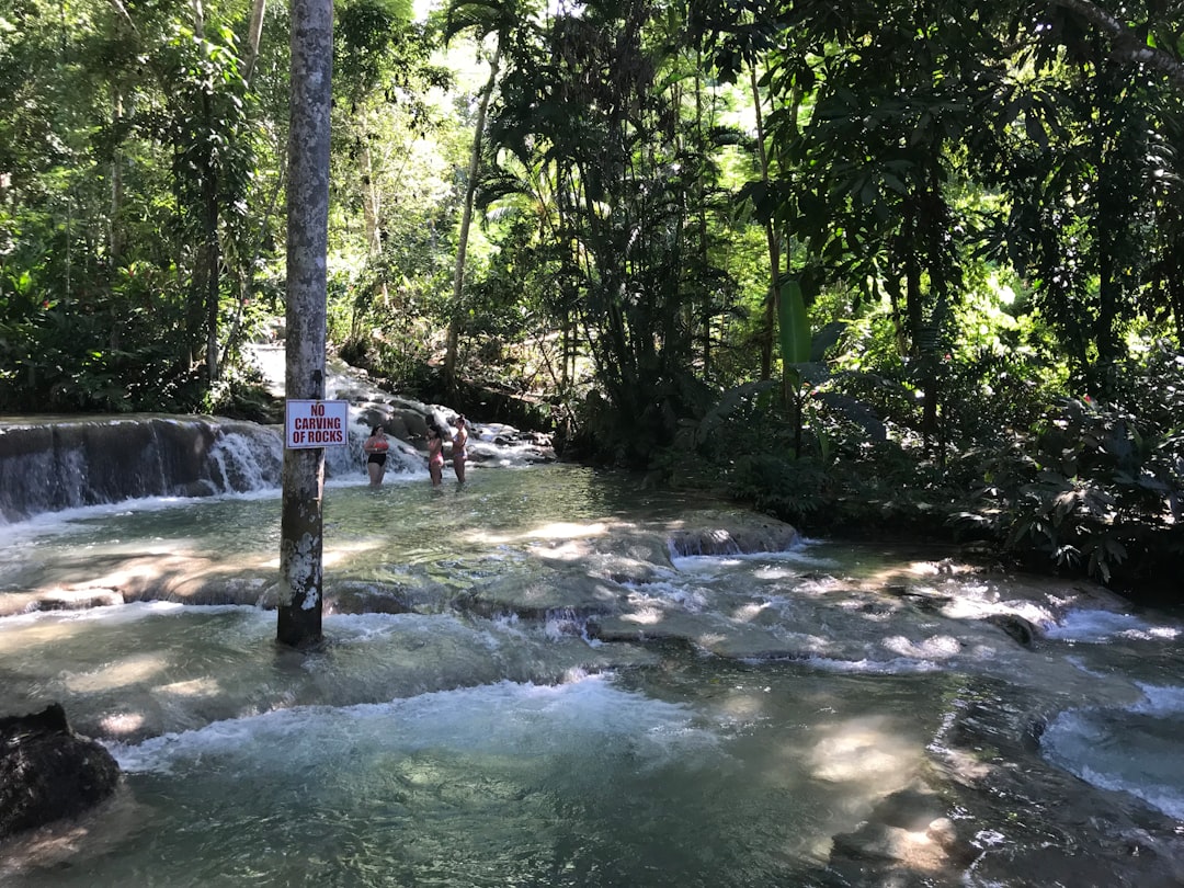 Dunn's-River-Wasserfälle (Ocho Rios)