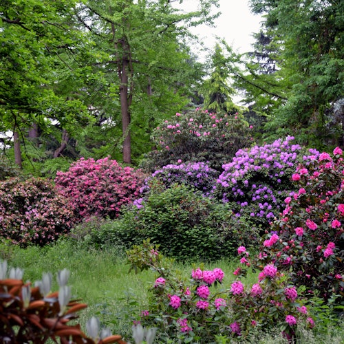 Arboreto de Chèvreloup