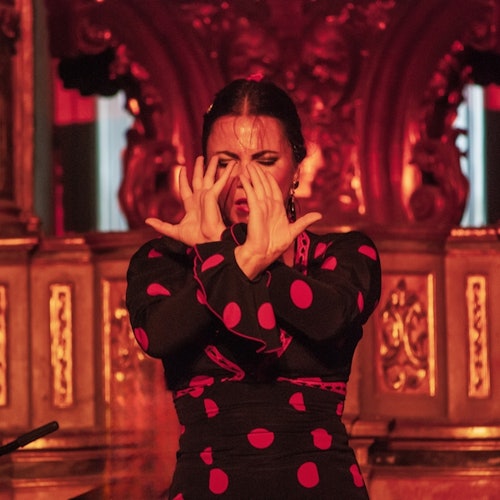 Casa del Arte Flamenco