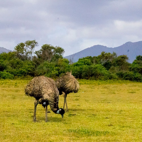 Wilsons-Promontory-Nationalpark