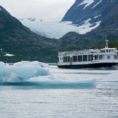 Sightseeing Cruises in Anchorage