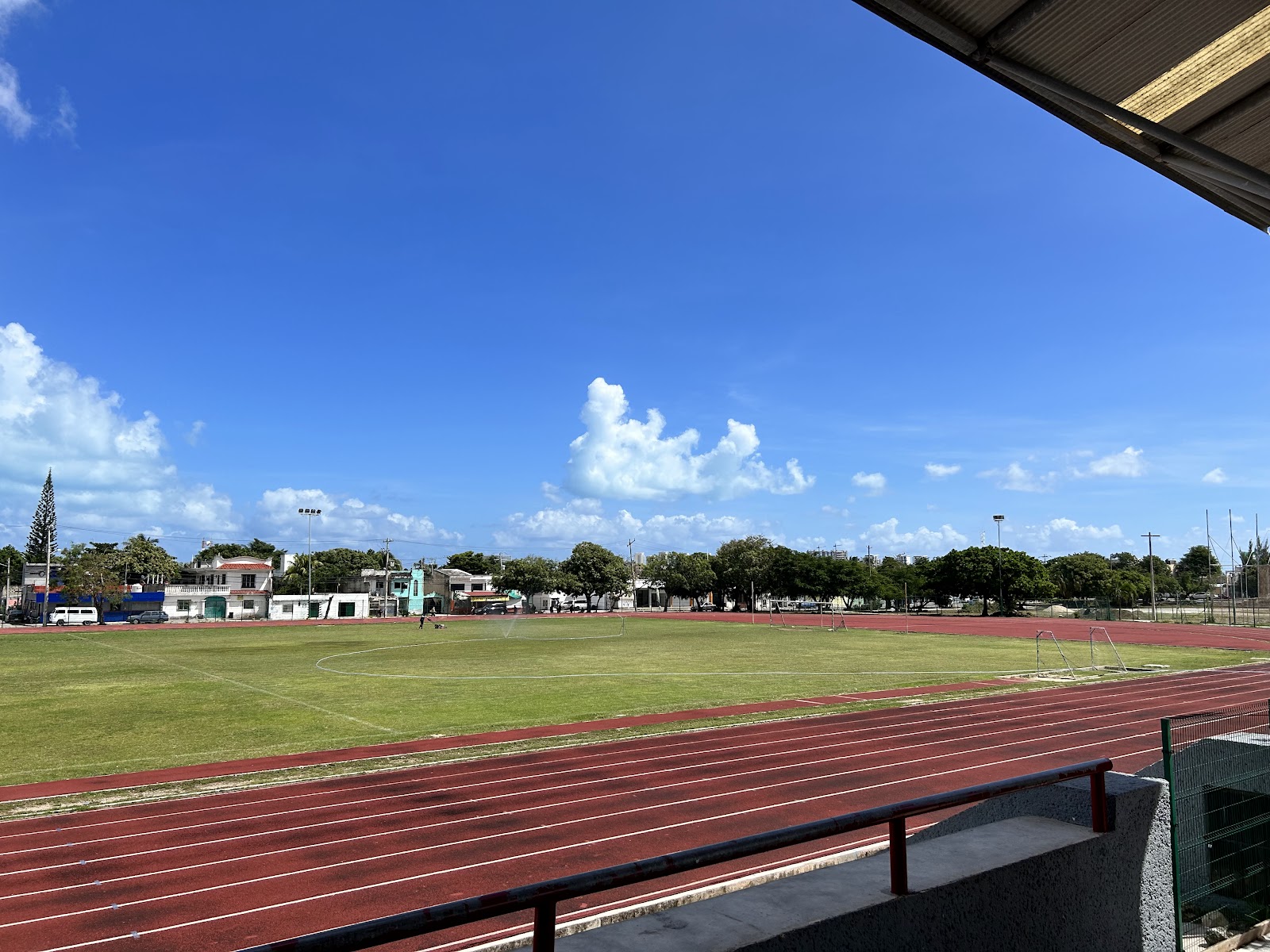 Toro Valenzuela