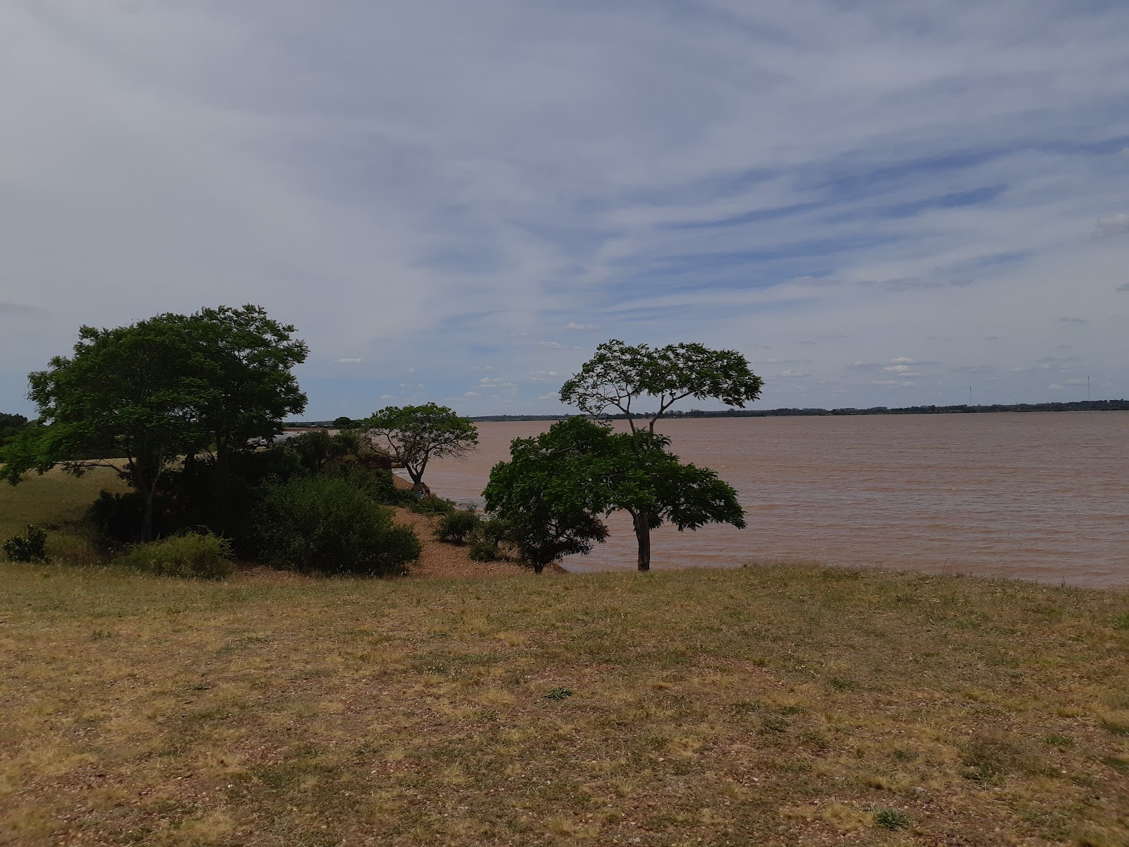 Chaviyu