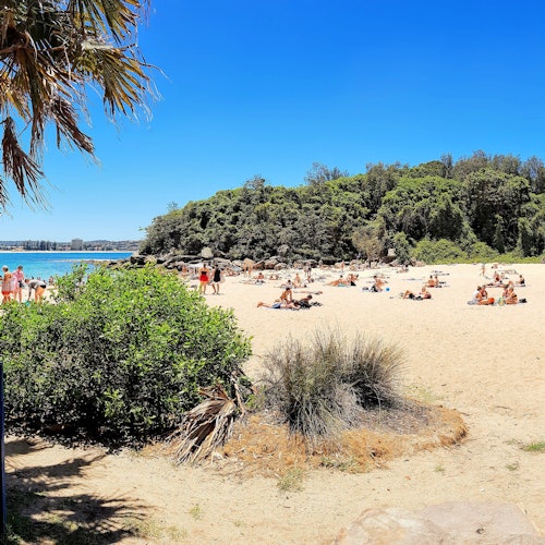 Playa Fairy Bower