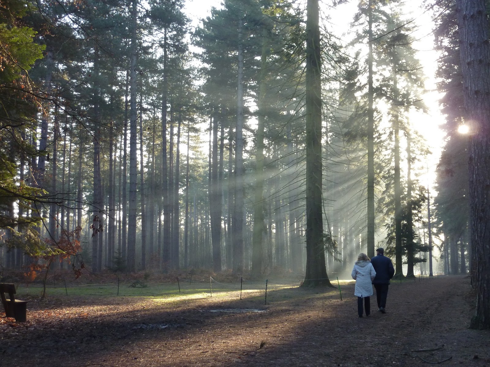 Black Park Country Park