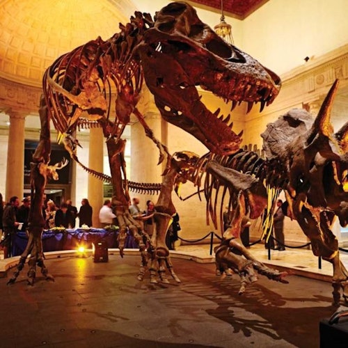 Natural History Museum of Los Angeles County