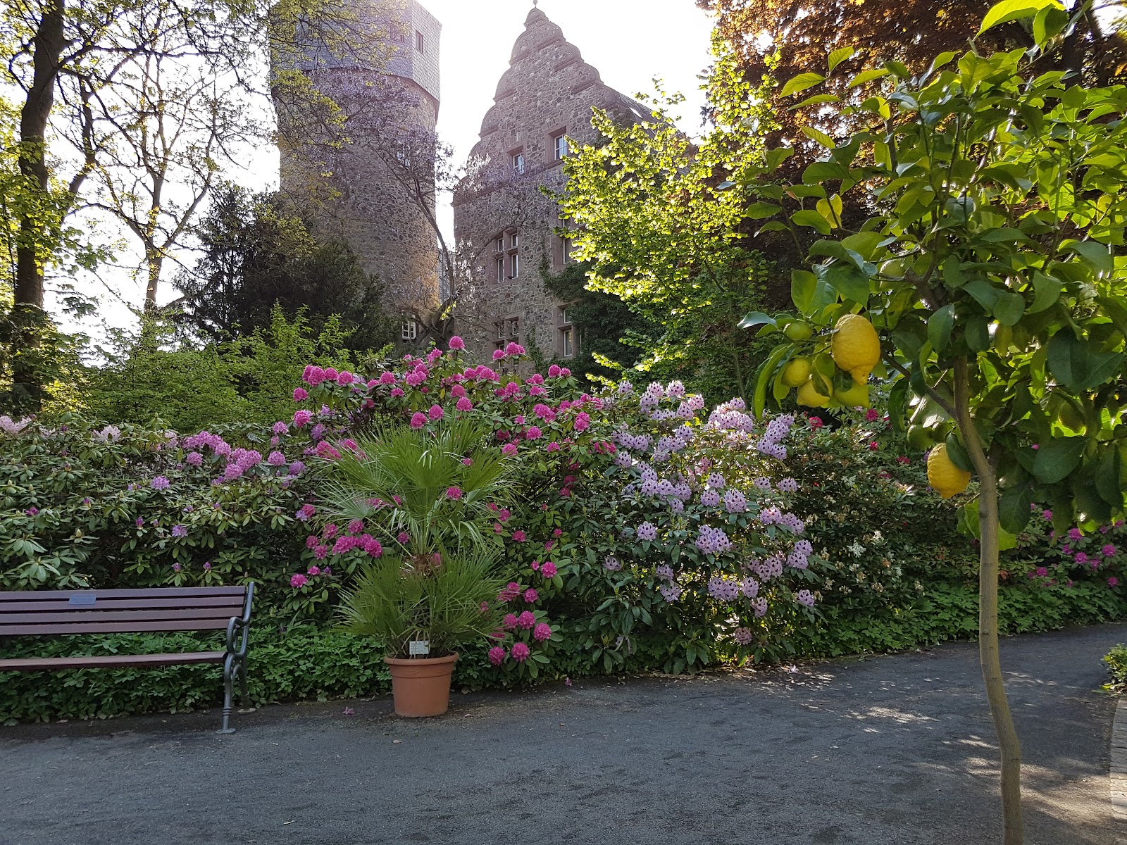 Giessen Botanical Garden