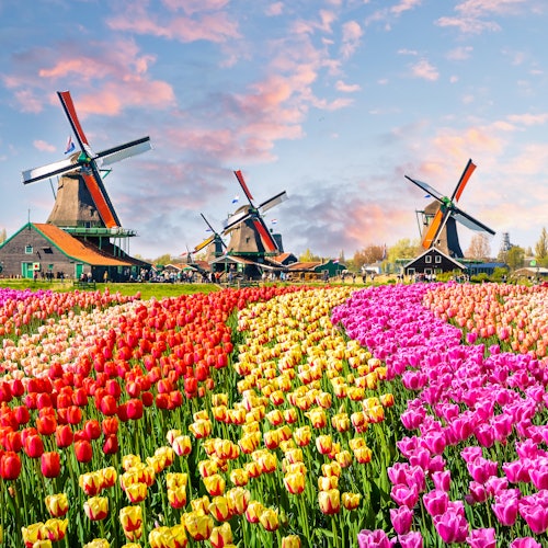 Passeios por Zaanse Schans