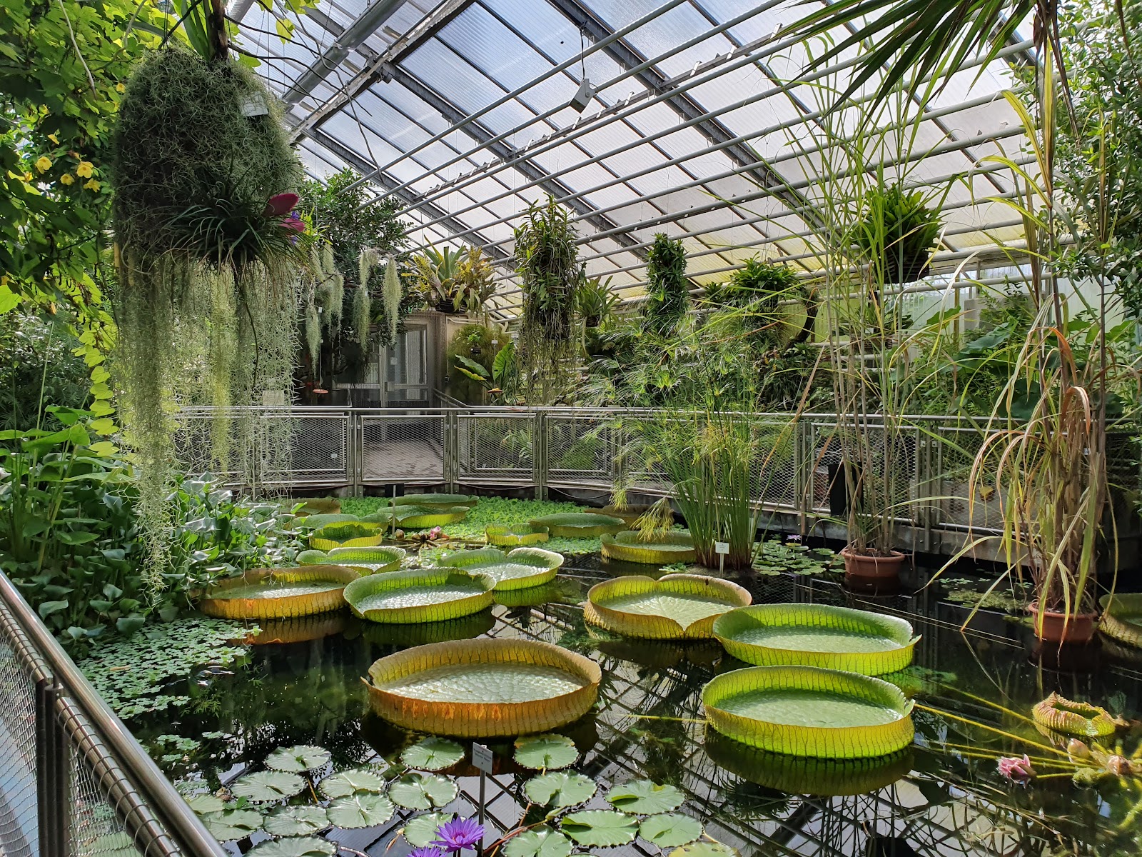 Botanischer Garten