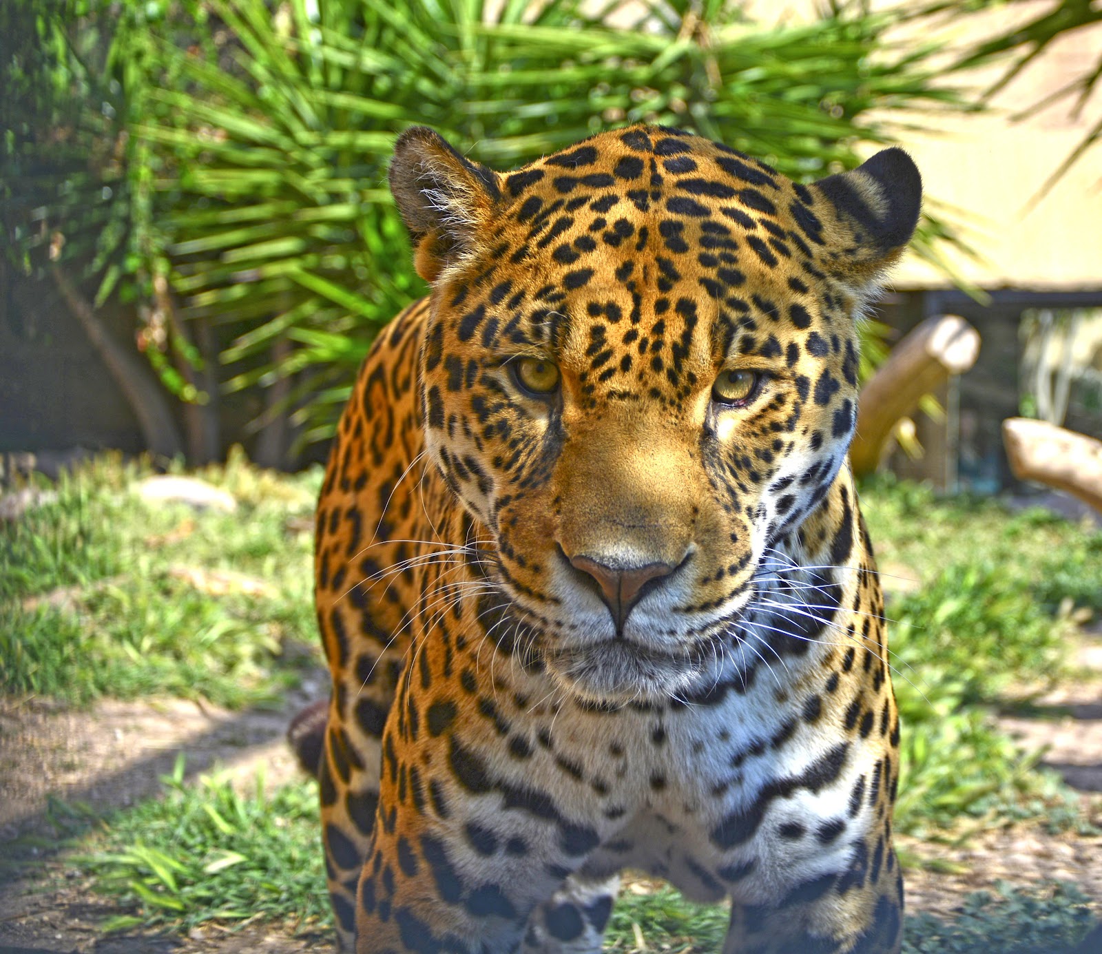 Terra Natura Benidorm