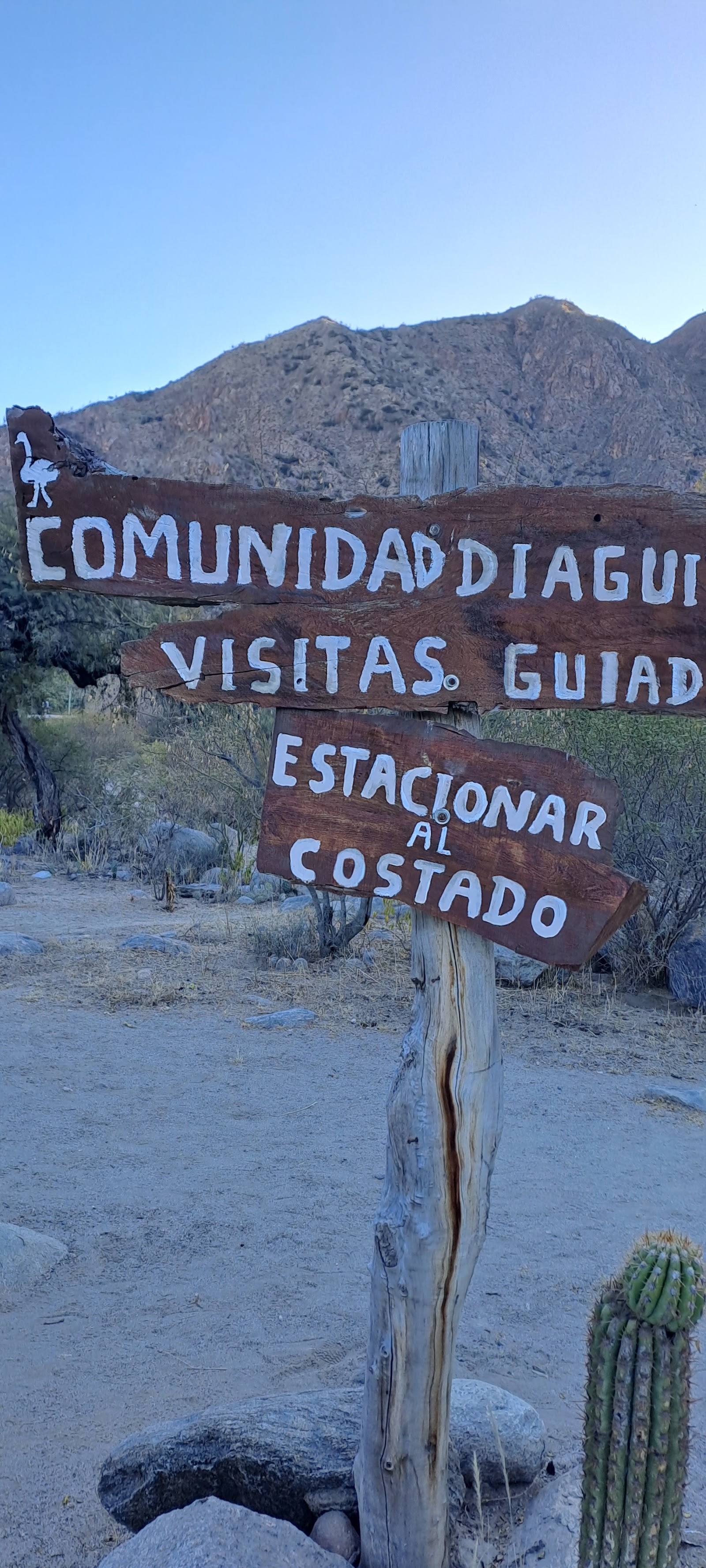 Cueva del Suri
