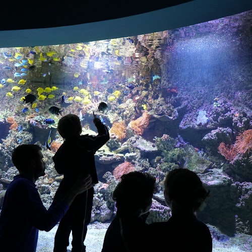 Seville Aquarium