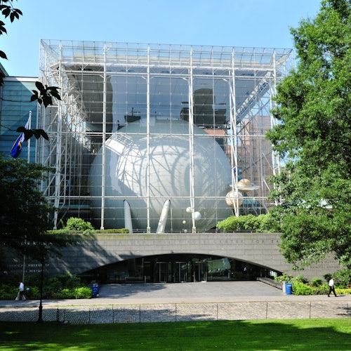 Naturkundemuseum New York (AMNH)