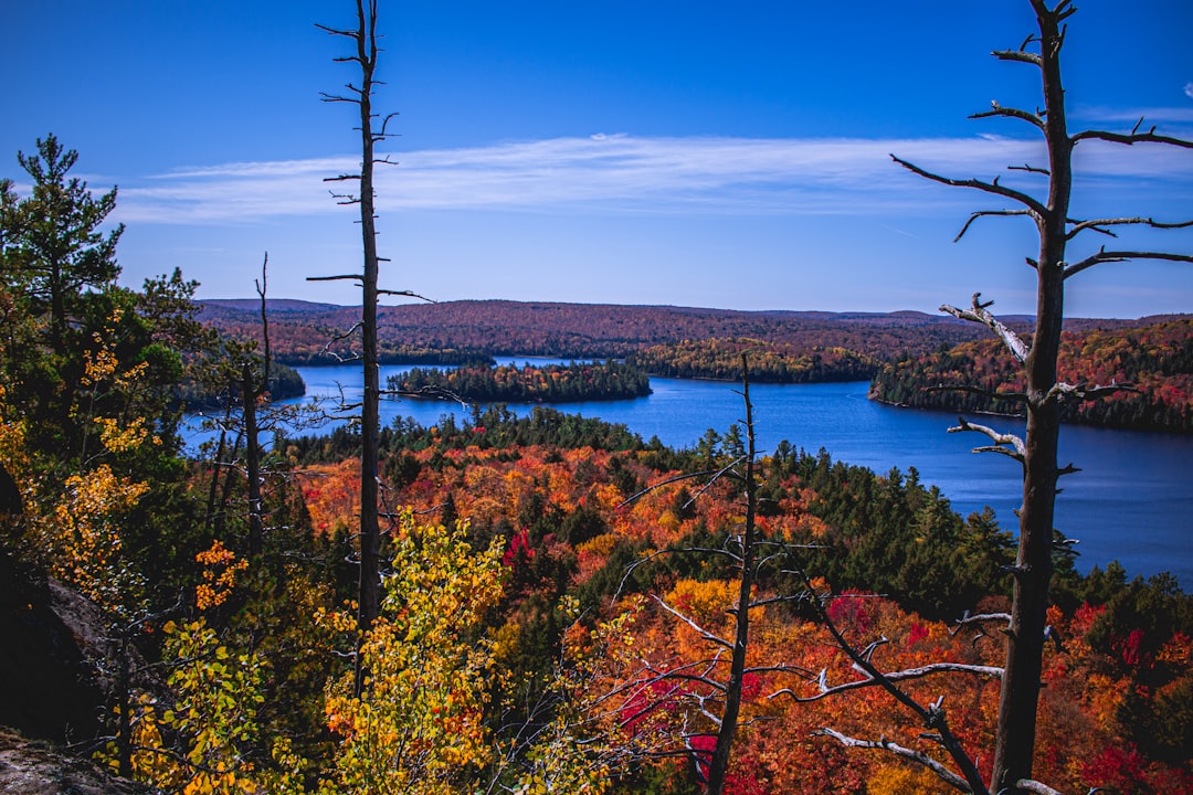 Teyú Cuaré Provincial Park