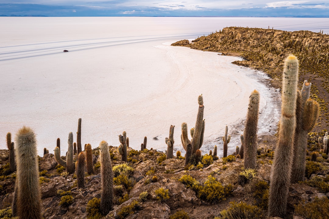 Incahuasi-Insel