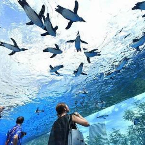 Sunshine Aquarium