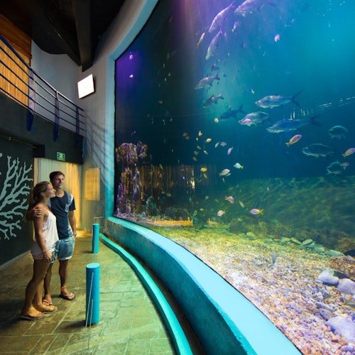 Interactive Aquarium Cancún