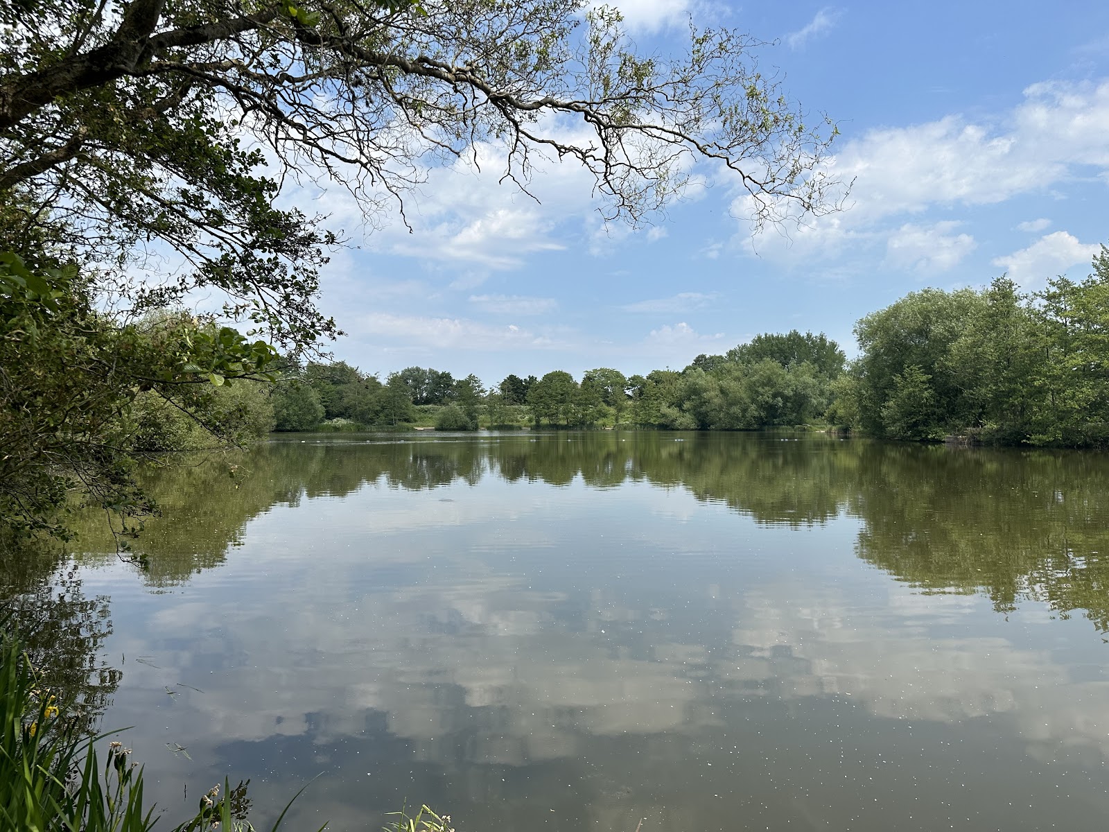 Lakeside Country Park