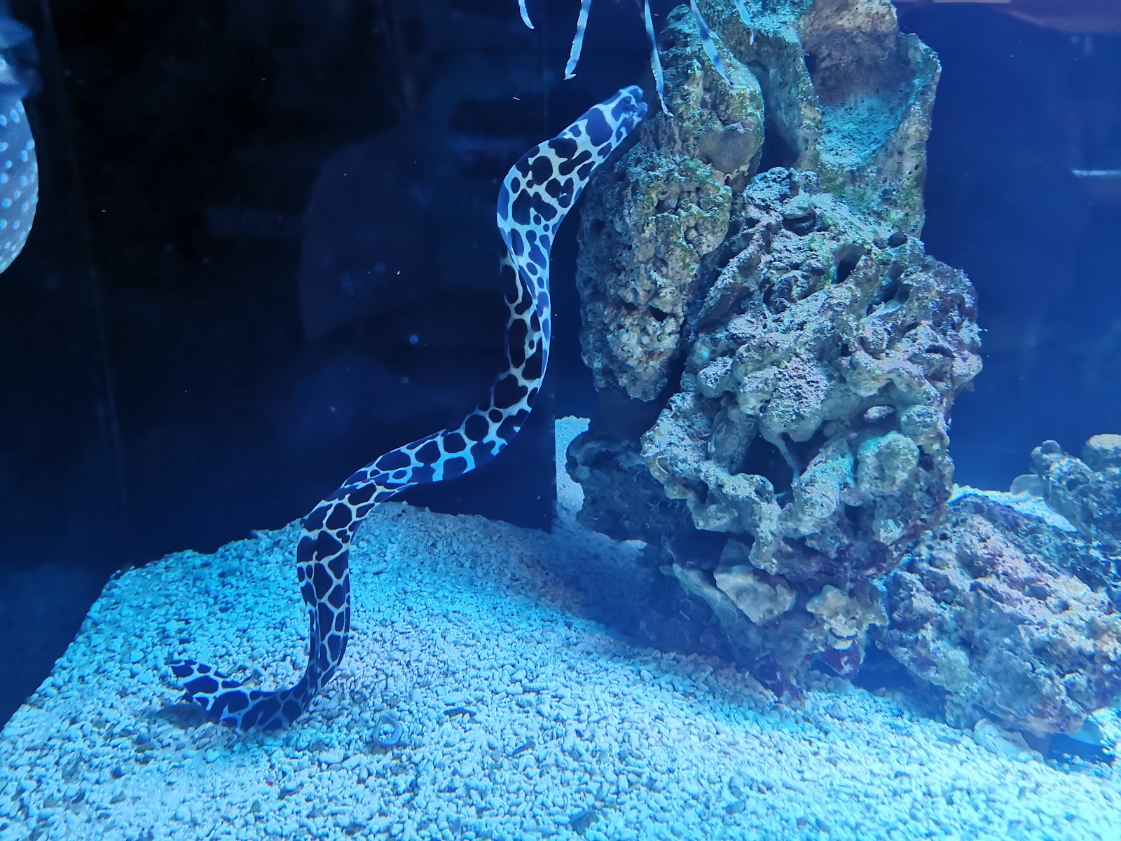 Oceanarium - Kolobrzeg