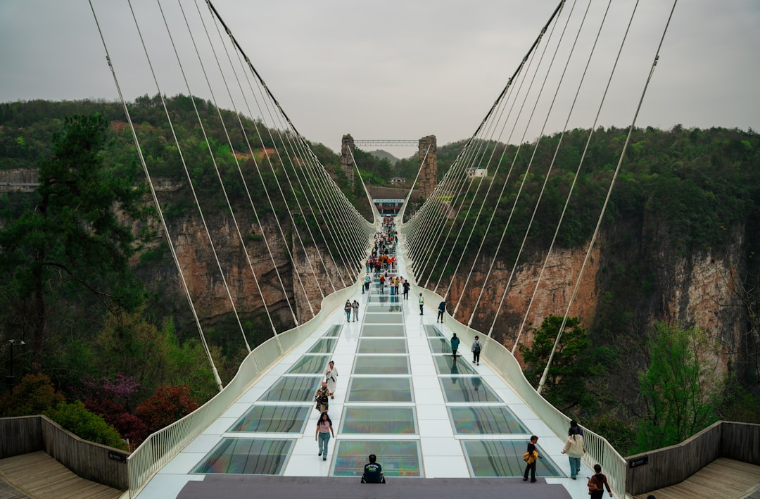 Ponte Bonifácio