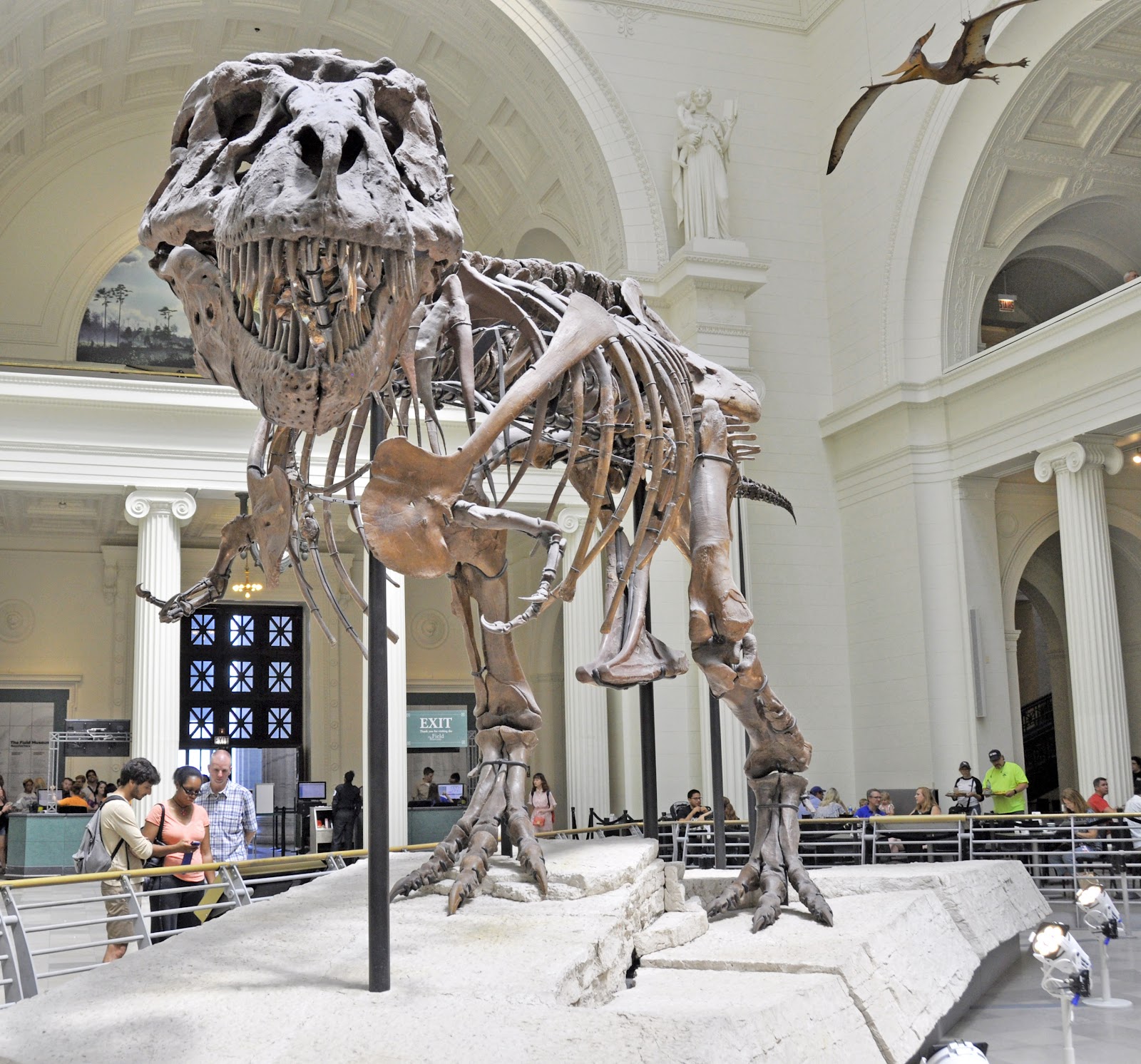 The Field Museum