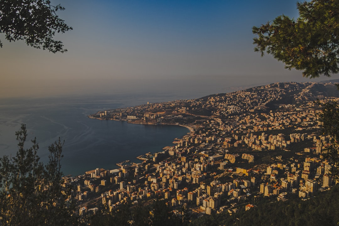 Cedars of Lebanon