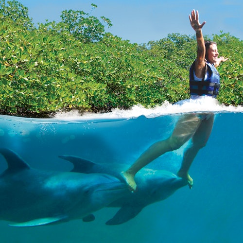 Delfinário Xcaret