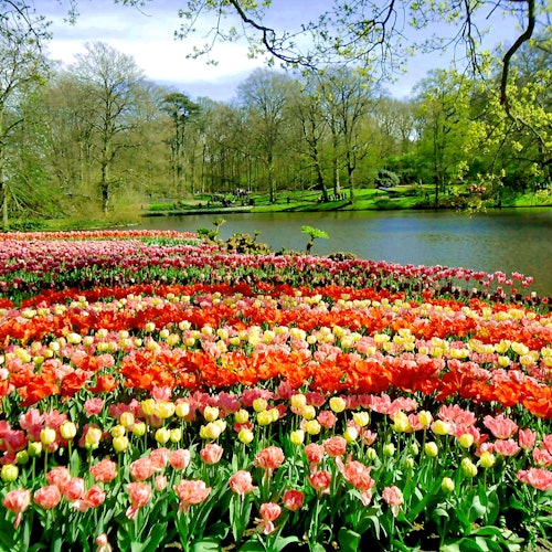 Jardín de Keukenhof